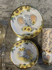 Gray Elephant Baby Shower Party Supplies – Serves 24 Includes Dinner Plates A…