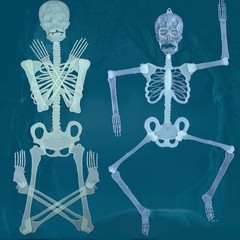 Halloween Luminous Human Skeleton Poseable Full Life Size Decoration Party Prop