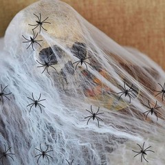 Halloween Animated Hanging Skulls Head Covered with Spider Webs JQ