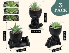 3Pcs Fake Succulents Plants Artificial for Black Bathroom Bedroom Home Decor