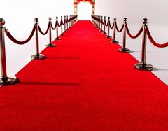 Extra Thick 3x10Ft Red Carpet Runner for Party, Non-Slip TPR Backing Aisle Ru…