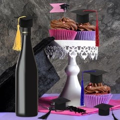 12Pack Mini Graduation Caps with tassels Grad Hat Cake Wine Bottle Multicolor
