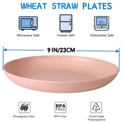 9 Inch Unbreakable Wheat Straw Plates – Reusable Plate Set – Plate-9in, Pink