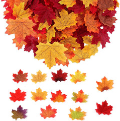 300 Pcs Fake Fall Leaves, 8cm/3.15inch Autumn Leaves, Fall Party Decorations Map