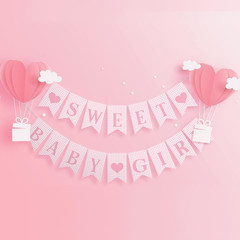 2 Pcs Pre Strung Pink Gingham Sweet Baby Girl Banner Pink Girl Baby Shower Banne