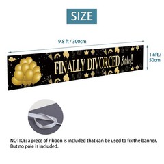 Finally Divorced Banner Decorations, 20 inches x 118 inches, Multicolor