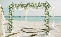 2Pcs(13 Ft) Artificial Eucalyptus Flower Garland with White Rose Flowers,Faux