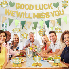 Farewell Party Decorations, Green Good Luck We Will Miss You Banner Hanging Swir