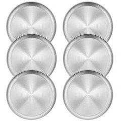 Homikit 6 Pack Stainless Steel Plates, 8 Inch Metal Kids 8 Inch, Silver