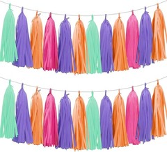 Rose Gold Peach White Pink Tassel Garland Banner 20 Pack Tassel Garland Party