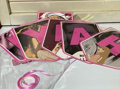 Taylor Swift Party Decor Foil Ceiling Swirls Birthday
