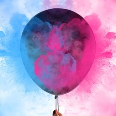 36 Inches Gender Reveal Balloons – Come with Pink Blue Powder and 3 Jumbo Bla…