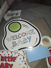 Baby Shower Cat in Hat theme banner