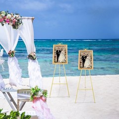 Modern Gold Display Easel 2 Pack Decorative Floor Standing Holder for Event