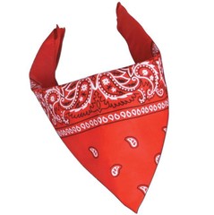 Western Cowboy Country Theme Party Red Bandana 22 Inches Fabric Party Supplies