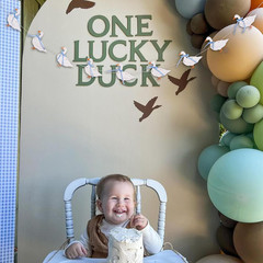 Goose Theme Banner – Goose Baby Shower Garland,One Silly Goose Blue Gingham Styl