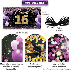 Sweet 16 Birthday Decorations Backdrop Banner, Happy 16Th Birthday Decorations f