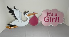 Big Dot of Happiness Lawn Decorations 10 Pc It’s a Girl! w/Stork NIOB