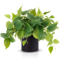 JPSOR Artificial Indoor Plants for Home Decor, 12 inches B-black Ceramic Pot