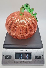 Halloween Autumn Fall Orange Pumpkin Light Up Battery Operated