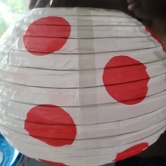 Multicolor Paper Lantern Set of 14, 8 Blue, 4 Red, 2 Orange, Party Decoration