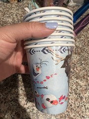 Disney Frozen Elsa and Anna party decor birthday banner And Olaf Cups bundle