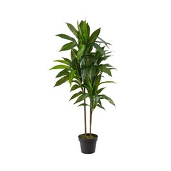 Nearly Natural 48in Artificial Dracaena with Real Touch Leaves … FAST USA SHIP