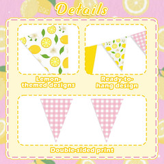 6PCS Lemon Party Decorations Pennant Banners Pink and Yellow Triangle Flags Garl