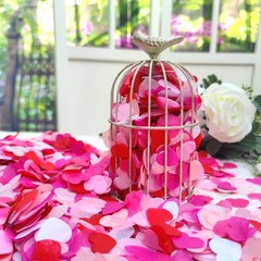100 Grams 1 Inch White Pinks Red Tissue Paper Heart Confetti Wedding Table