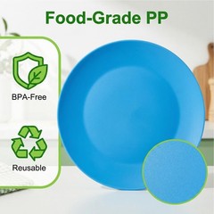 AOYITE Plastic Dinner Plates Reusable BPA Free 10 inch, Assorted Colors