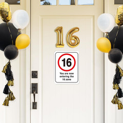 16Th Birthday Party Decorations – 9PCS Happy 16 Years Old Birthday Party Deco…