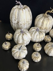 14 Pcs Assorted Fall Artificial Pumpkins – Gold & White Gold Brush White NEW!!