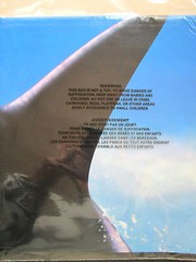 Dolphins LUAU Tropical Blue Ocean 42″x72″ Wall/Door Mural Decoration BRAND NEW