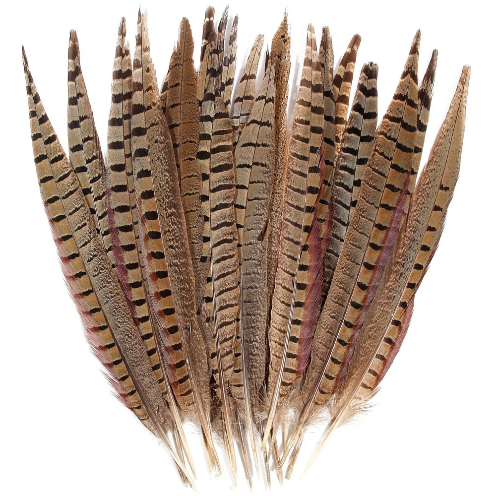 20pcs Male Pheasant Feather Natural Ringneck Tails Feathers 12-14inch 30-35cm…