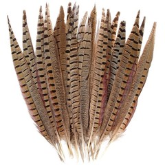 20pcs Male Pheasant Feather Natural Ringneck Tails Feathers 12-14inch 30-35cm…