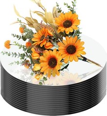 16Pack Round Mirror Plates Centerpieces 10inch Acrylic Mirror Trays Flat Circle