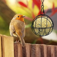 2PC Outdoor Iron Bird Feeder Hollow Design for Garden Balcony Yard Feeding