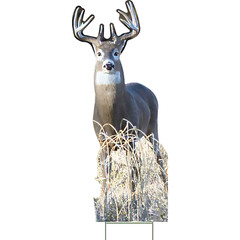 YSH3013 Nature White Tail Buck Deer Hunting Grass Outdoor Yard Decoration Cutout