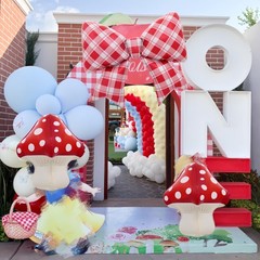 4Pcs Red White Gingham Bow Balloons for Summer Picnic BBQ/She’s Ready to Pop …