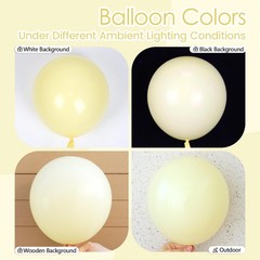 Pastel Yellow balloons 12 inch, Light Yellow Latex Balloons 50pcs Party Ballo…