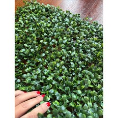 NEW Artificial Plants Grass Wall Backdrop Decoration Boxwood Hedge Panels