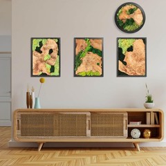 NAHARO Natural Preserved Moss Wall Art – 16»*12», Rectangle*3