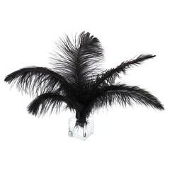 100 Pcs Natural Black / White Ostrich Feathers for Wedding Black