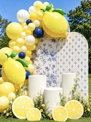 6Pcs Yellow Pink Lemon with Daisy Balloons/Summer Lemon Party Decor for Lemon…