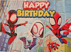 Spiderman Spidey & His Amazing Friends Ghost Gwen Party Supplies Set Birthday De