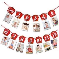 Farm Animal Theme Photo Banner 1st Birthday Monthly Banner Newborn to 12 Month