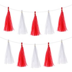 40Pcs White,Red Tassel Garland Banner with Rope