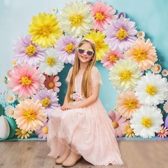 12 Pcs Daisy Tissue Paper Pom Poms Party Decorations 4 inches, Colorful