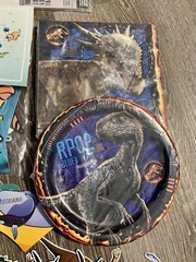 Dinosaur Birthday Party Decorations Lot Banners Table Cover & More