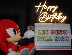 Sonic says Happy Birthday ! Light up Sign USB Powered LED Neon light w/ AC adpt